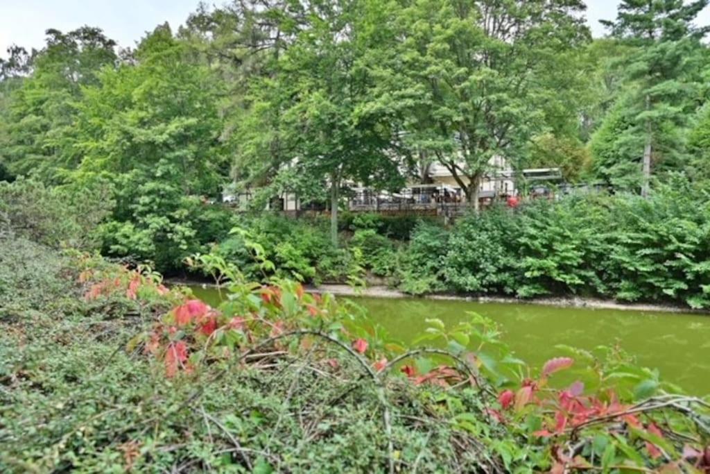 Apartmán Krizikova 4 Karlovy Vary Exteriér fotografie